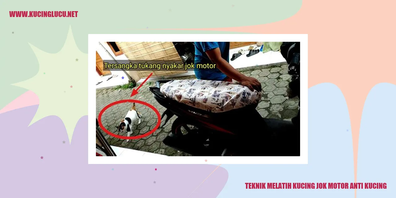 Teknik Melatih Kucing jok motor anti kucing