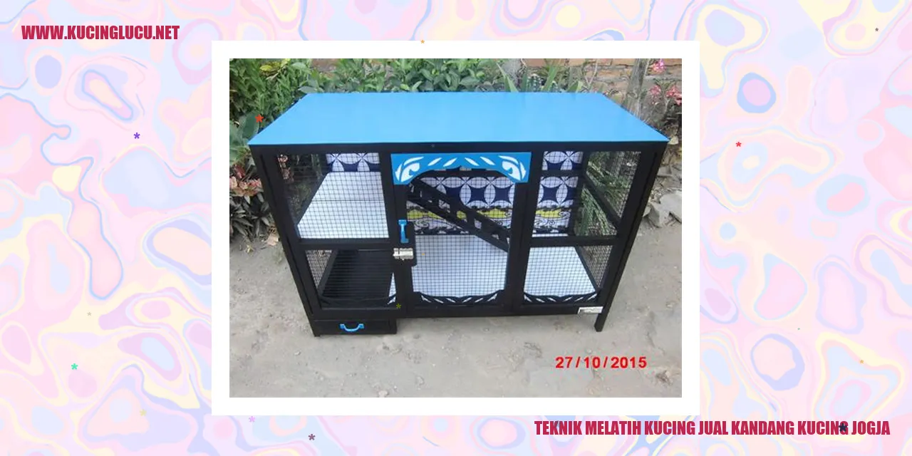Teknik Melatih Kucing jual kandang kucing jogja