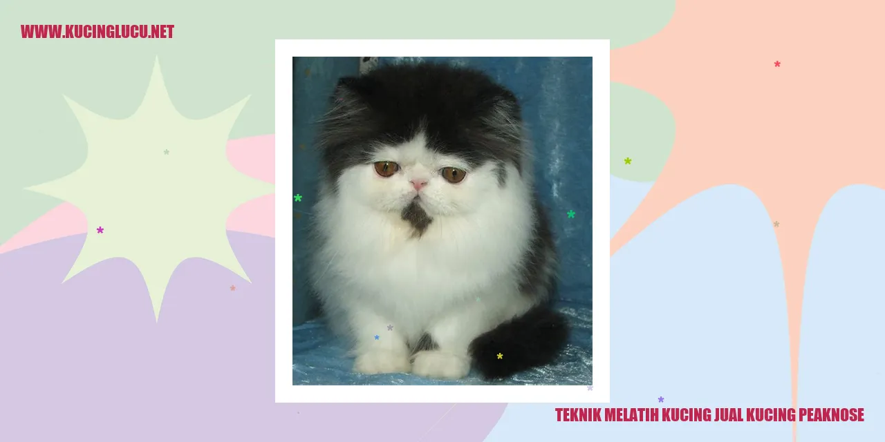 Kucing Peaknose