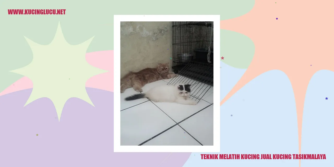 Teknik Pelatihan Kucing