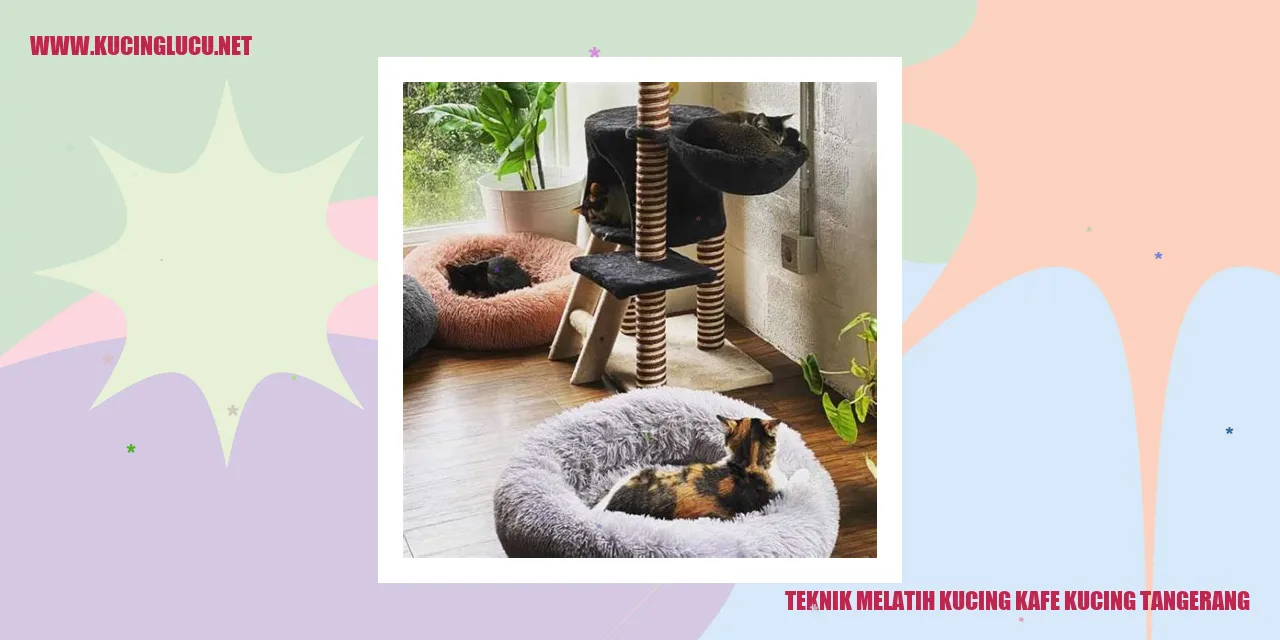 Melatih kucing di kafe kucing Tangerang