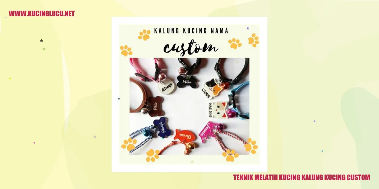 Gambar kucing memakai kalung kucing custom