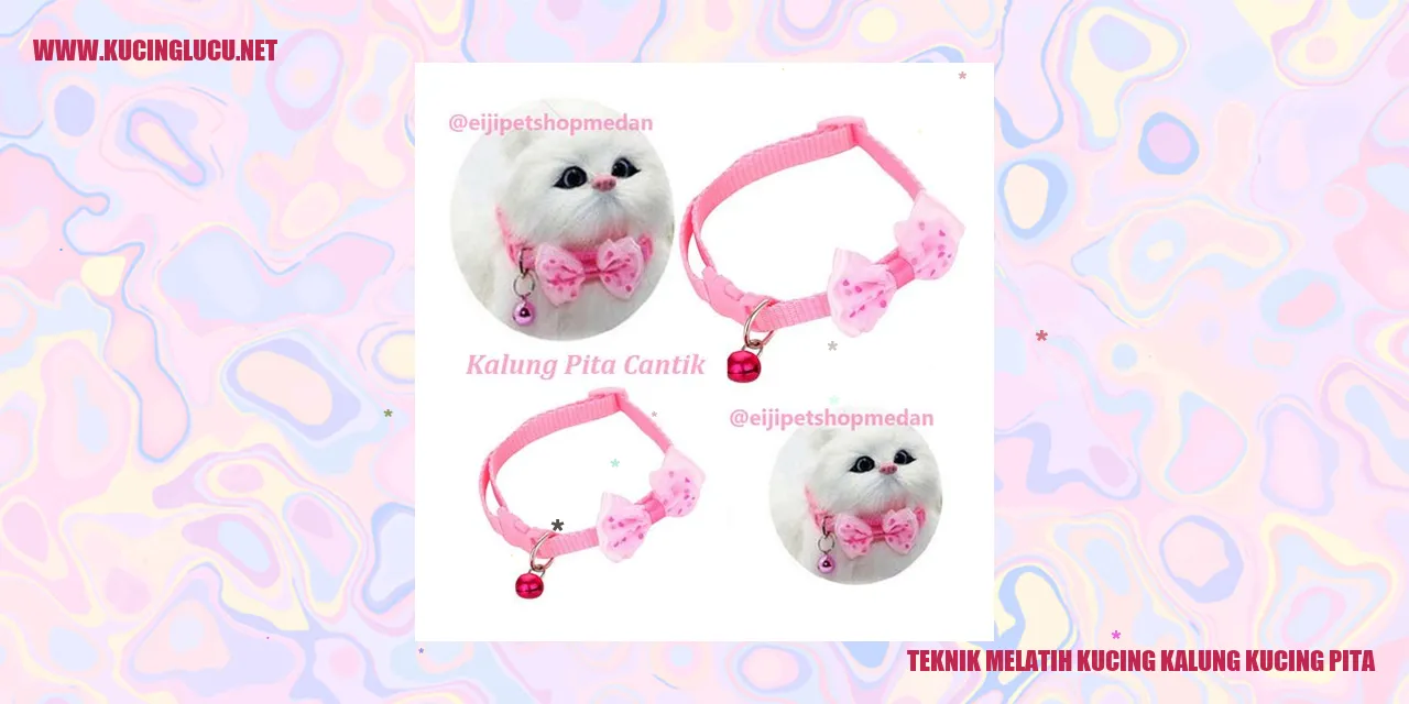 Kucing kalung kucing pita