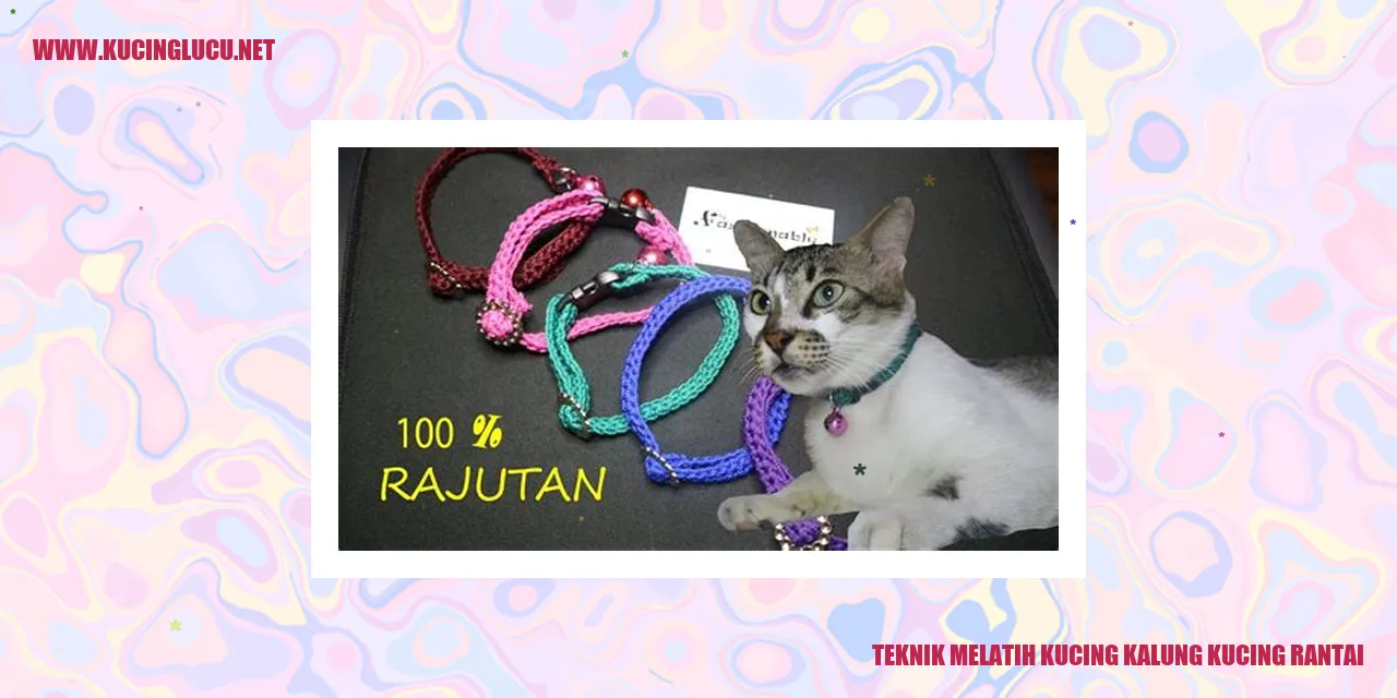 Gambar kucing dengan kalung rantai