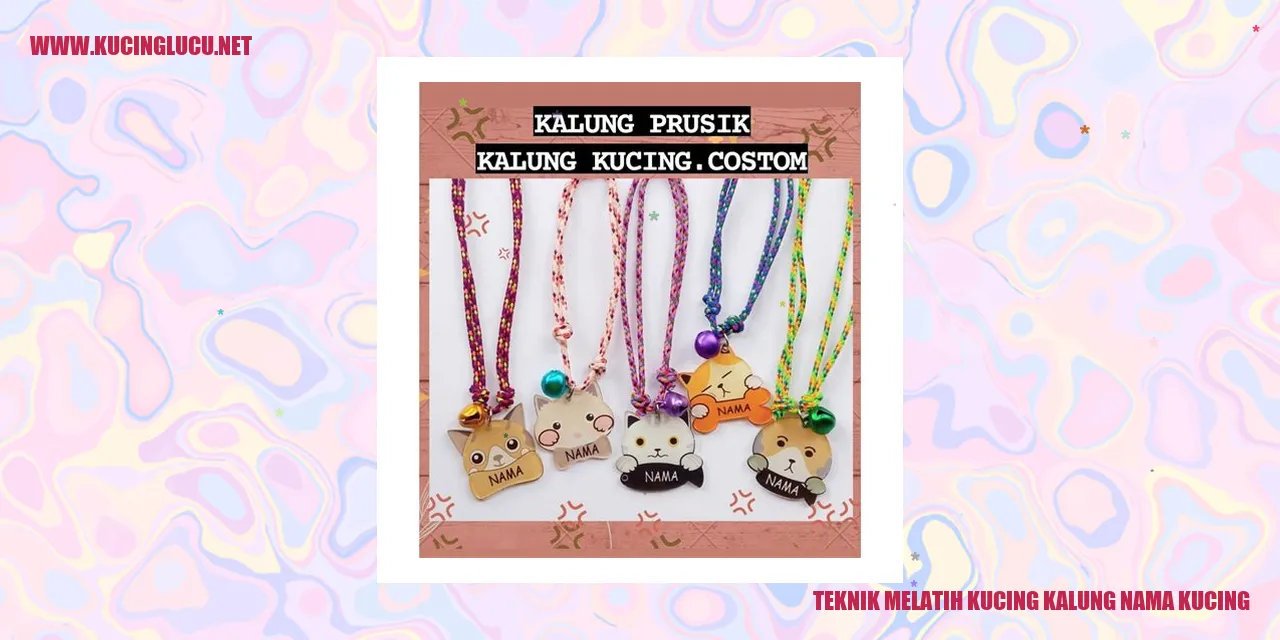 Menggunakan nama kalung kucing