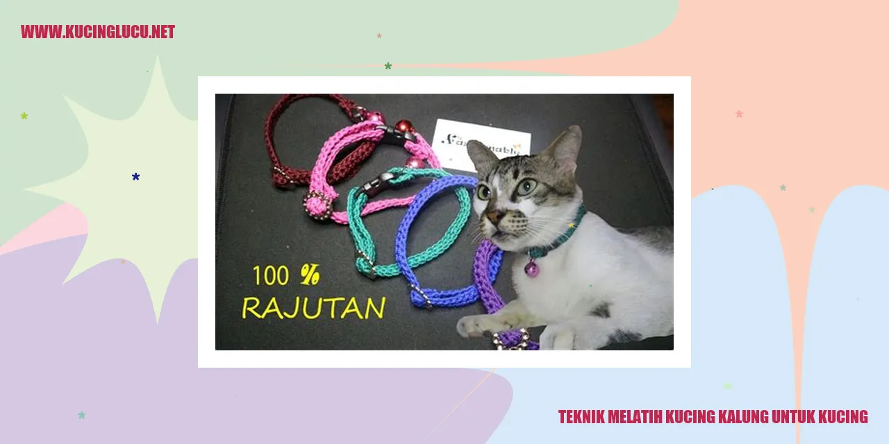 kucing kalung