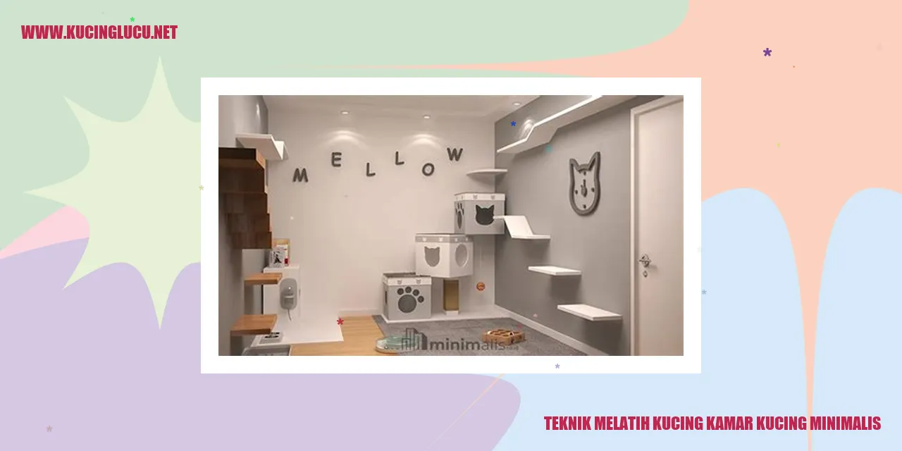 Kucing di kamar kucing minimalis