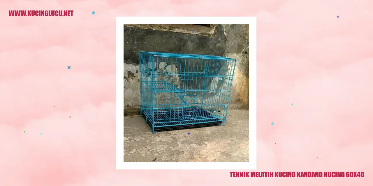 Kandang kucing