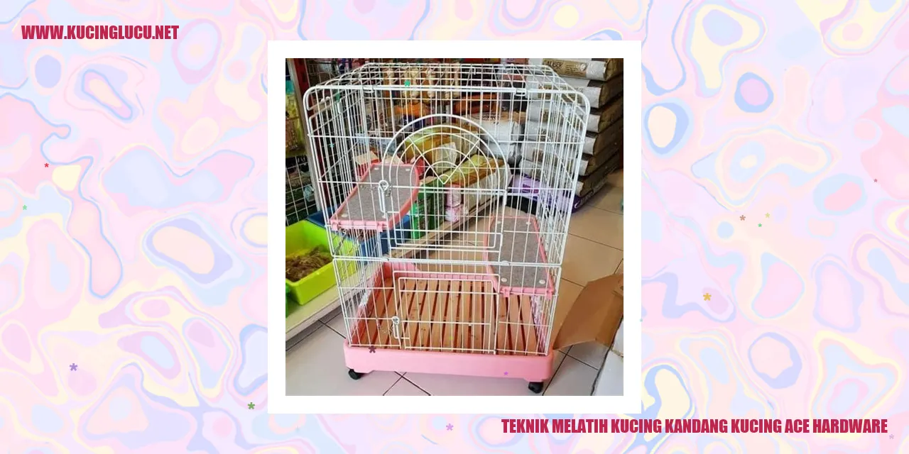 Melatih Kucing di Kandang Ace Hardware