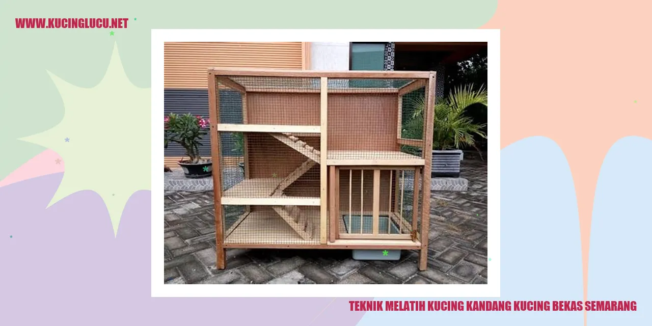 Kucing di Kandang