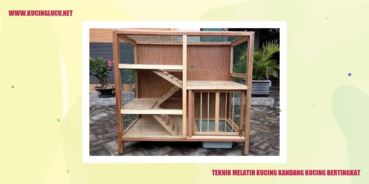 Teknik Melatih Kucing kandang kucing bertingkat
