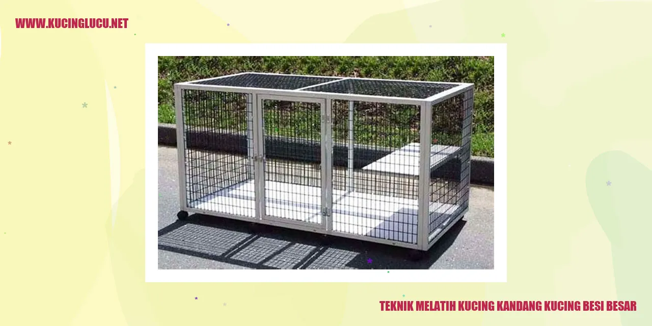 Teknik Melatih Kucing kandang kucing besi besar