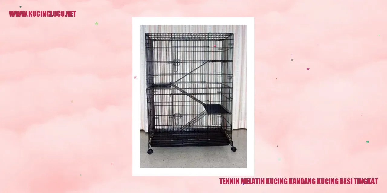 Kucing di dalam kandang besi tingkat