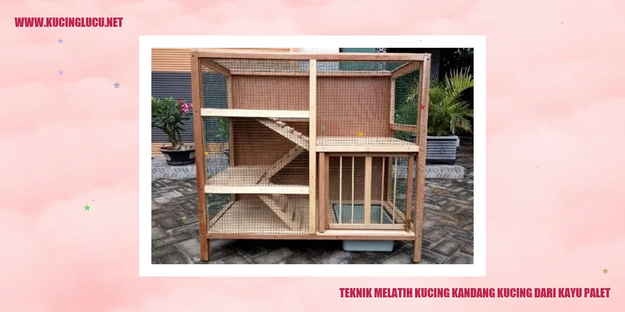 Teknik Melatih Kucing Kandang dari Kayu Palet