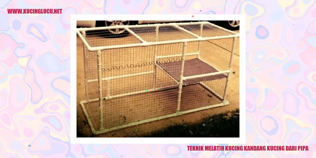 Kucing di dalam pipa