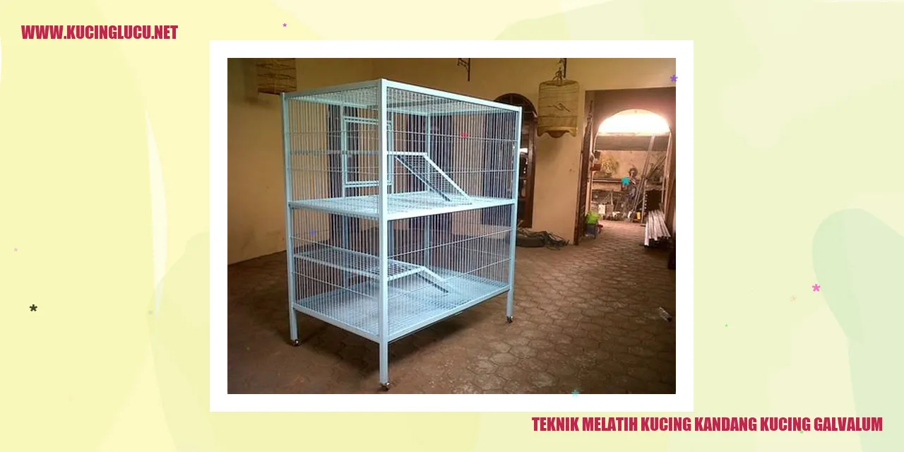 Teknik Melatih Kucing kandang kucing galvalum