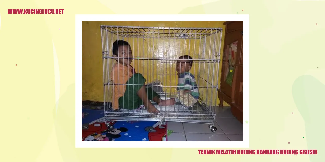 Kucing dalam kandang