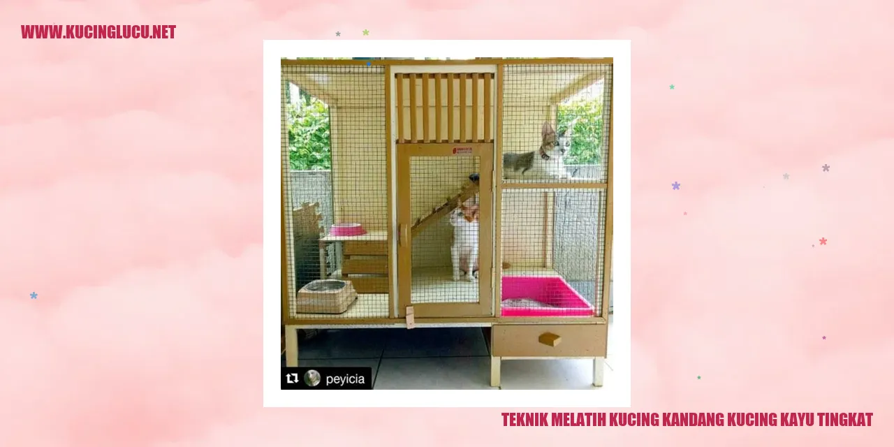 Kucing di kandang kayu tingkat