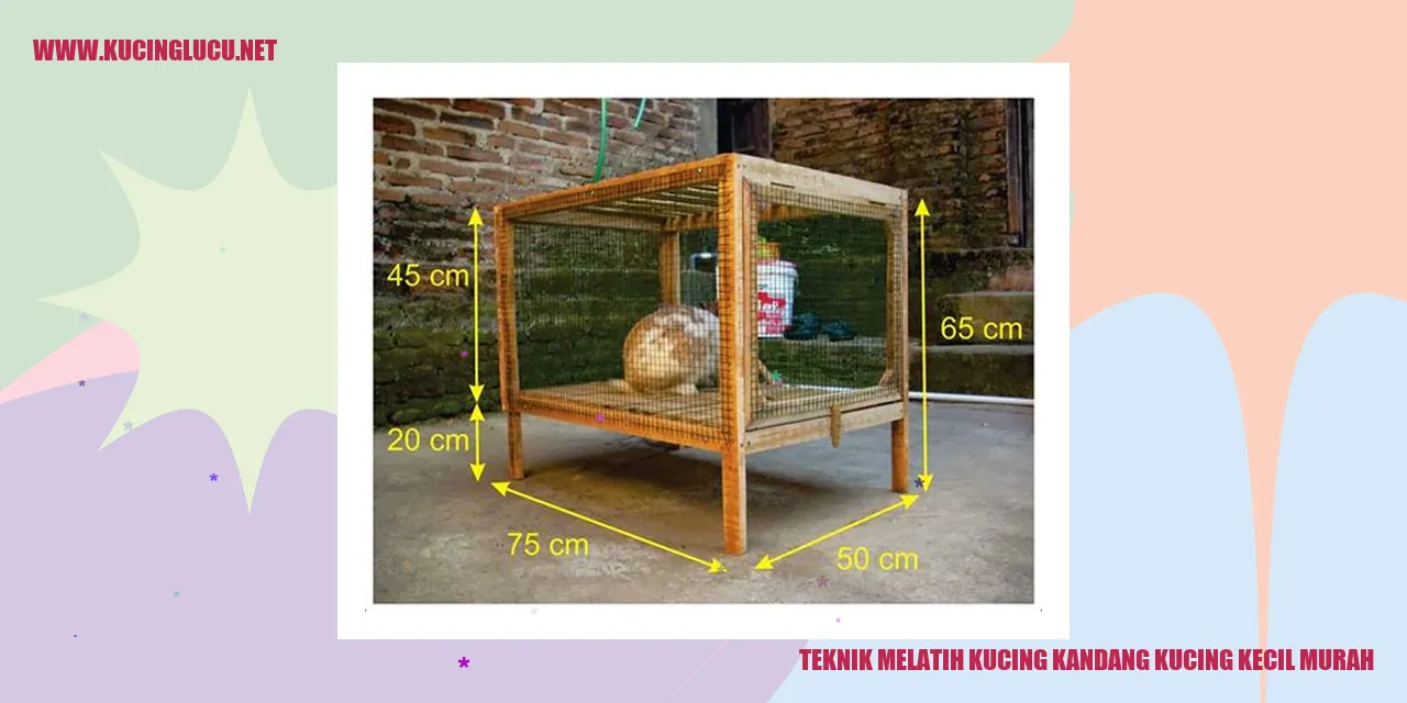 Teknik Melatih Kucing