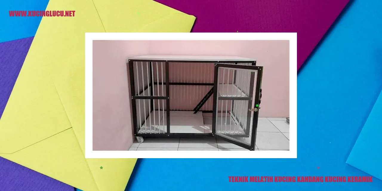 Gambar teknik melatih kucing kandang kucing keramik