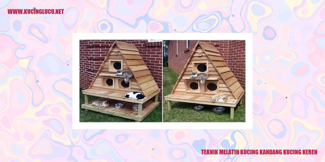 Kucing kandang kucing keren