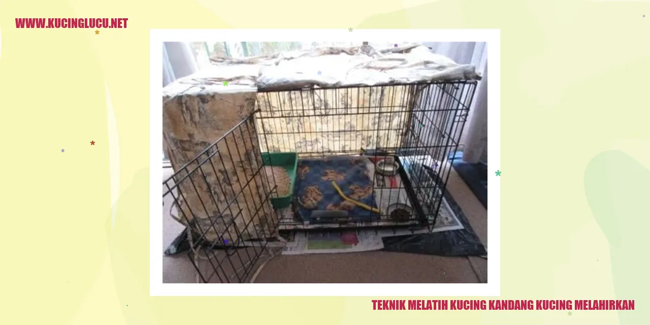 Gambar Kucing Melahirkan