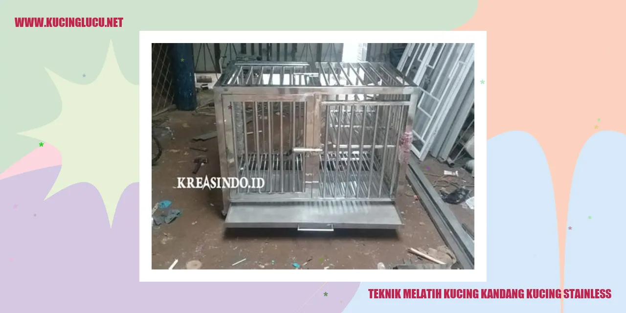 Teknik Mengajar Kucing