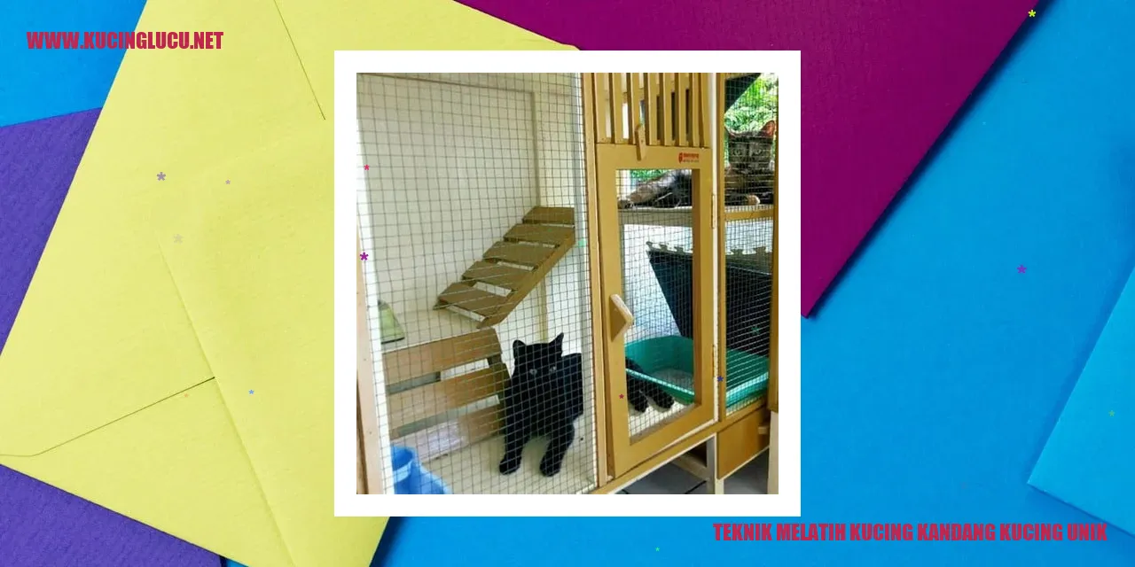 Melatih Kucing di Kandang