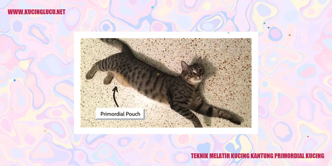 Kucing kantung primordial