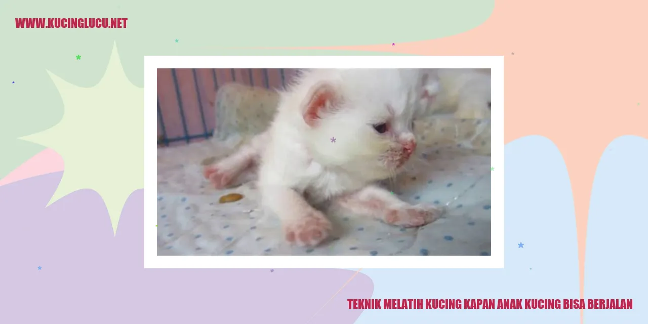 Teknik Melatih Kucing kapan anak kucing bisa berjalan