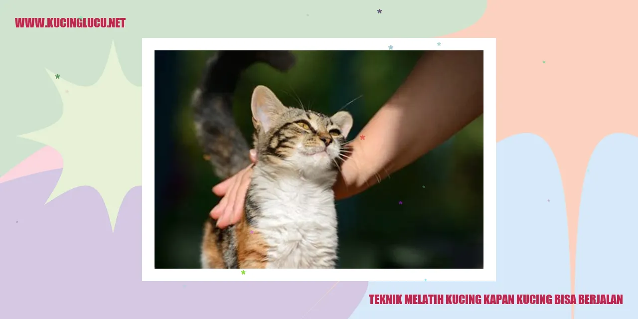 Teknik Melatih Kucing