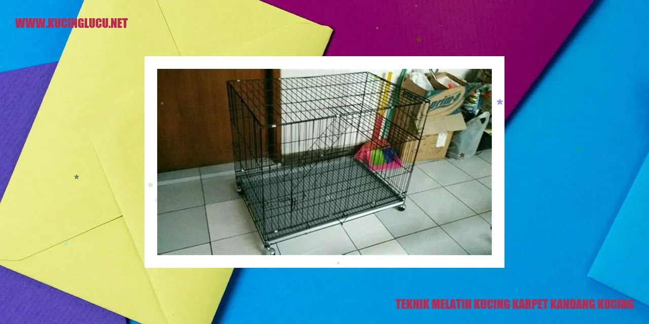 Melatih Kucing di Kandang