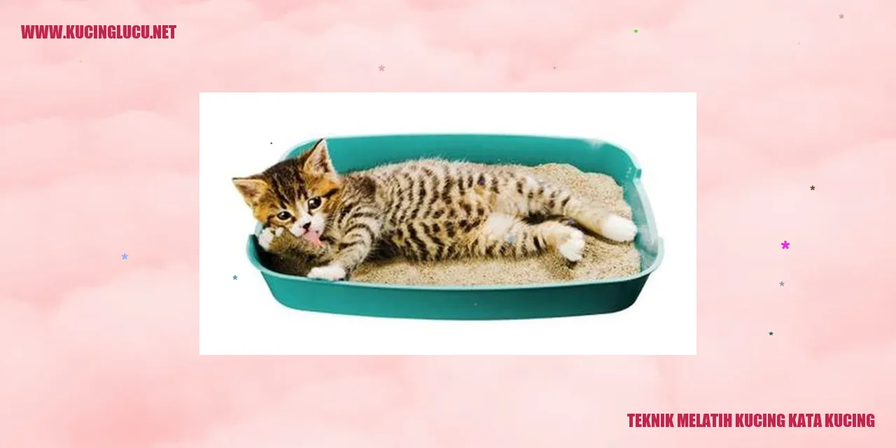 Melatih Kucing Menggunakan Kata-Kata