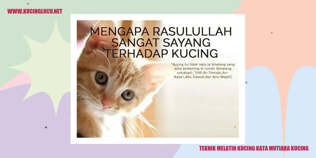 Teknik Melatih Kucing