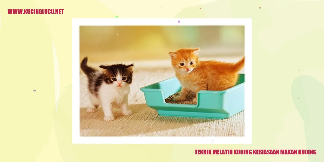 Melatih Kucing kebiasaan makan kucing