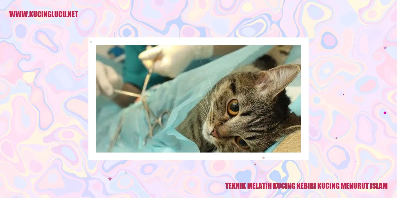 Gambar Kucing