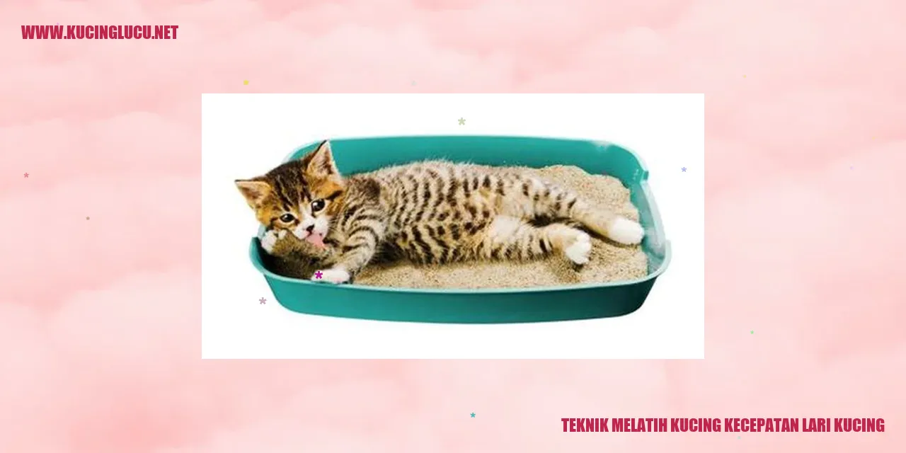 Gambar Kucing yang Berlari