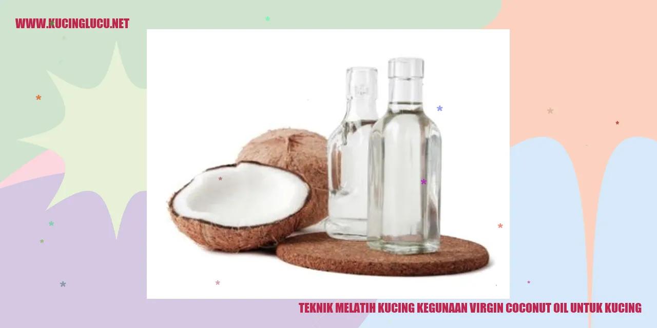 Gambar kucing menggunakan virgin coconut oil