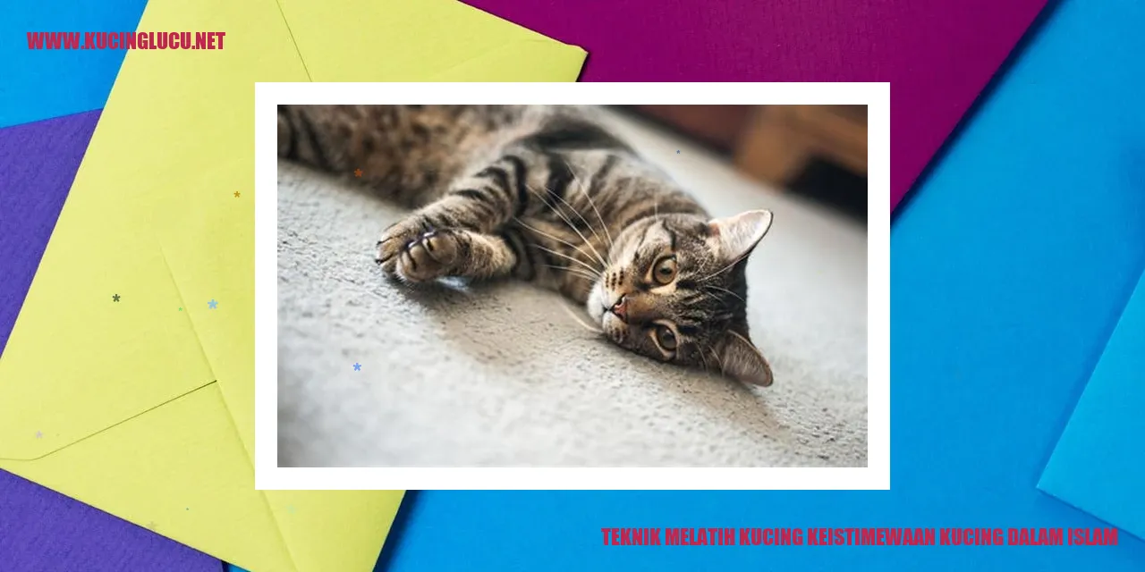 Teknik Melatih Kucing keistimewaan kucing dalam islam