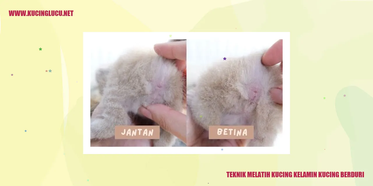 Gambar Kucing berduri