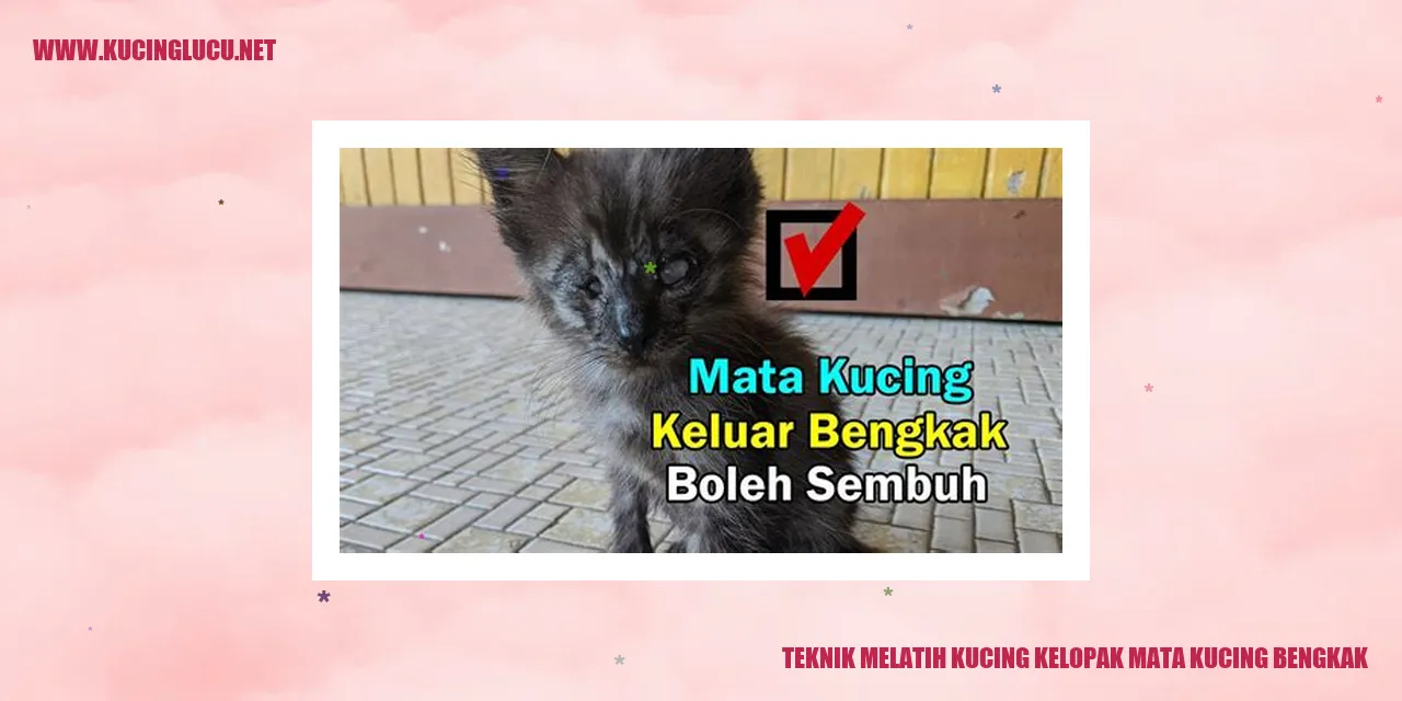 Teknik Melatih Kucing kelopak mata kucing bengkak