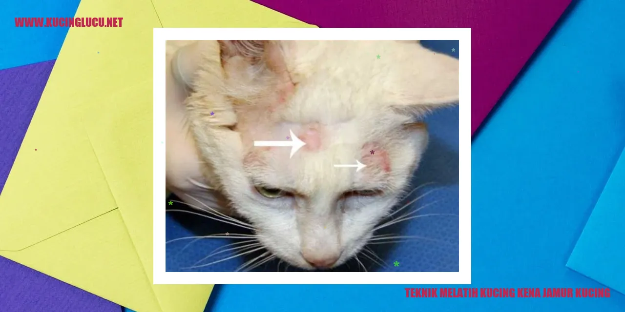 Teknik Melatih Kucing kena jamur kucing
