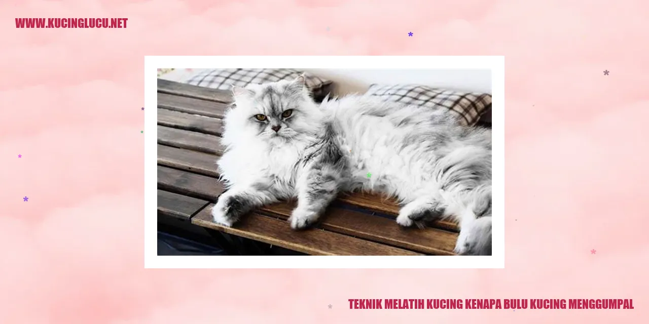 Bulu kucing tersangkut