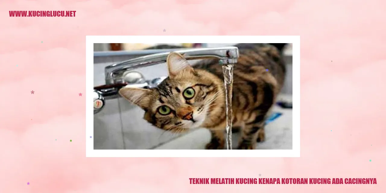 Ilustrasi seekor kucing sedang bermain