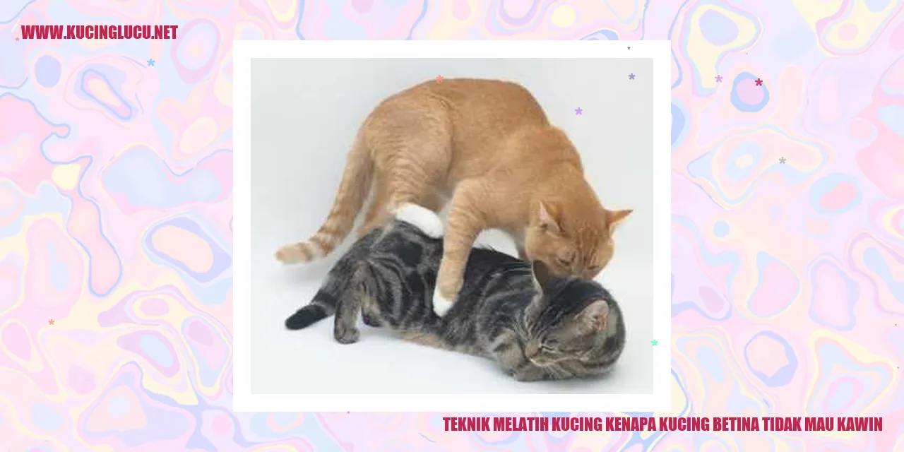 Gambar Kucing Betina