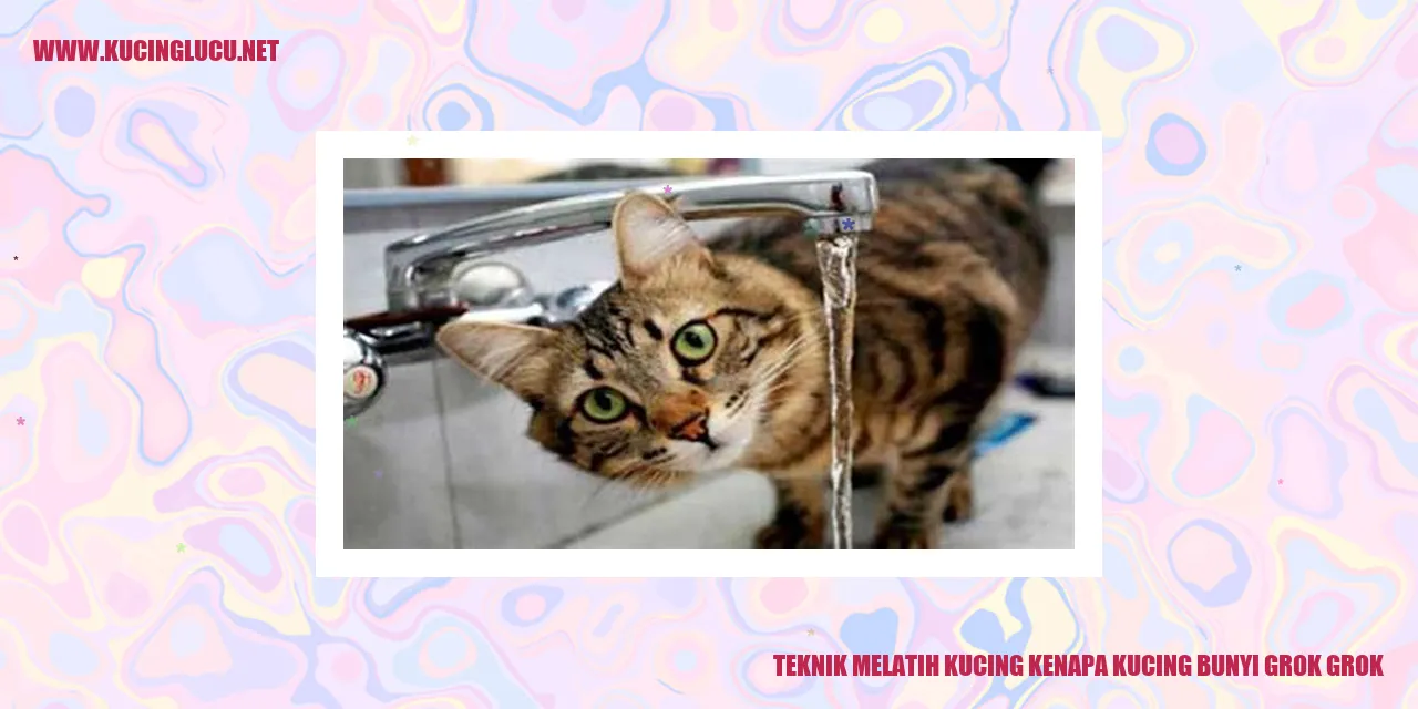 Ilustrasi Seekor Kucing