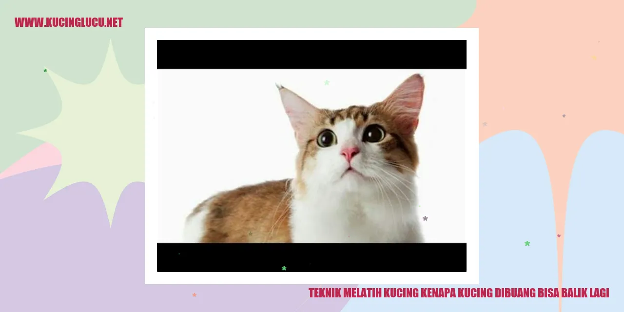 Teknik Melatih Kucing