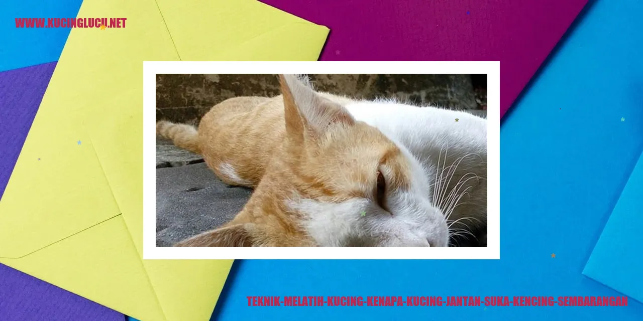 gambar kucing jantan