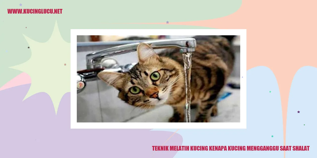Kucing Mengganggu saat Shalat