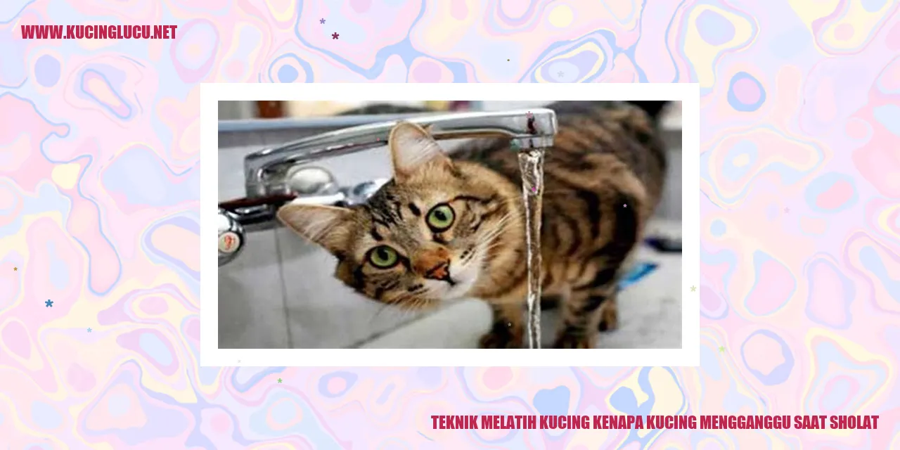 Gambar Kucing Mengganggu saat Sholat